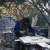 2006-14-prozor.JPG