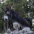 G-27-fauna.JPG