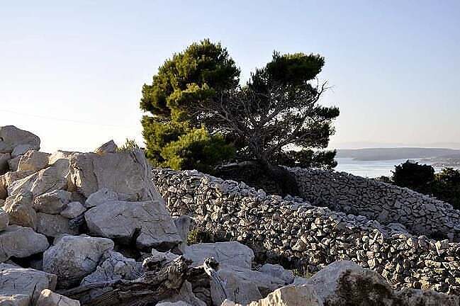 Pressclip: Croatia’s dry stone walls demystified